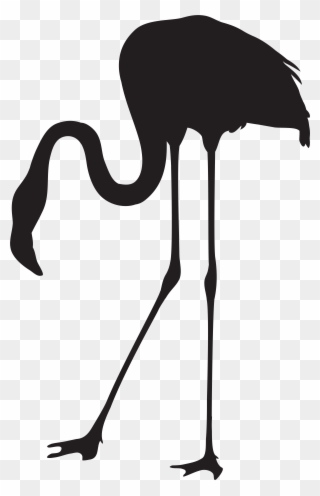 Clipart Pineapple Flamingo - Flamingo Silhouette No Background - Png Download