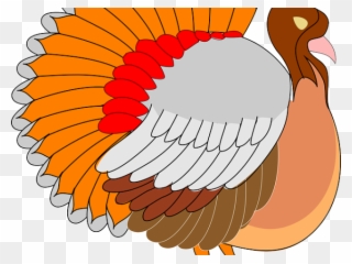 Turkey Bird Clipart Cornucopia - Turkey Clipart Png Transparent Png