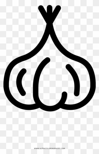 Garlic Coloring Page - Line Art Clipart