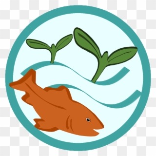 Learn About Aquaponics Grow Fish Plants Together - Aquaponics System Clipart - Png Download