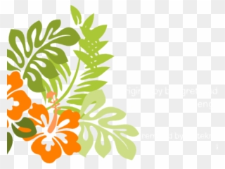 Hibiscus Clipart Hibiscus Flower - Hawaii White And Black Flower - Png Download