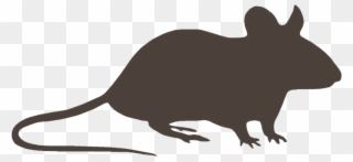 Exceptional Service Is Routine - Rat Clipart