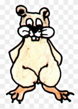 Meet Molly Beaver - Cartoon Clipart