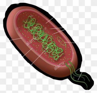Location - Illustration Clipart