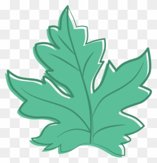 Maple Leaf - Water Melon Leaf Clipart