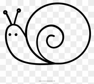 Snail Coloring Page - Snail Clipart