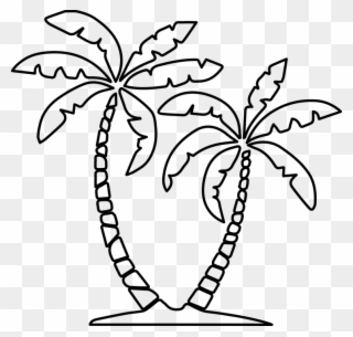 Drawn Palm Tree Palma - Palma Drawing Clipart