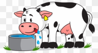 Cattle Clipart Animal Diet - Freedom From Hunger And Thirst Animals - Png Download