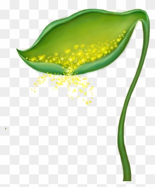 Beginner Ideas For Fairy Gardens Clipart