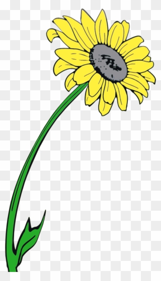 Februar 2015 Volle Größe - Sunflower Clipart