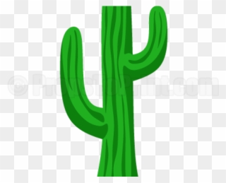 Cactus Clipart Printable - Illustration - Png Download