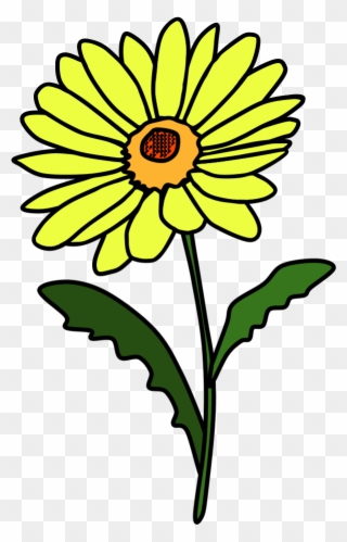 Daisy, Petals, Yellow, Png - Green Clipart