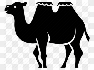 Camels Clipart Circus - Arabian Camel - Png Download