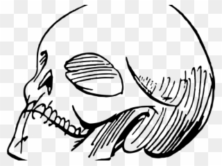 Sketch Clipart Skull - Poeta Dibujo - Png Download