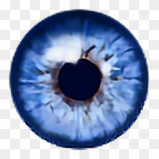 Eye Human Egg Blue Auge Aug Picsart Eyes Eyeart Eyesclo - Transparent Anime Blue Eyes Clipart