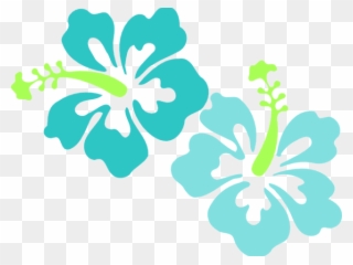 Tropics Clipart Teal Flower - Flowers Of Hawaii Png Transparent Png
