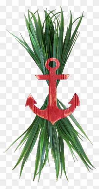 Sea Grass Clipart Grass Root - Heliconia - Png Download