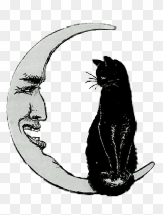 Cat On The Moon Clipart