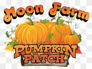 Free Png Pumpkin Clip Art Download Page 5 Pinclipart - roblox pumpkin patch background