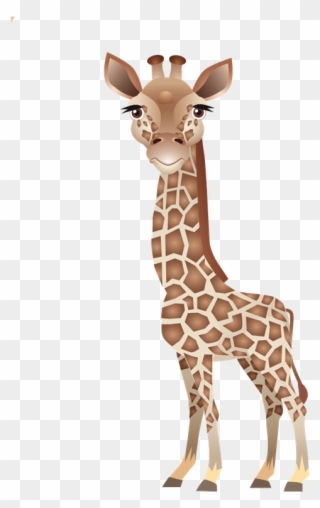 Clip Art Leopard About Giraffes Northern - Giraffe - Png Download