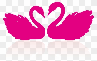 Cygnini Drawing Clip Art - Draw A Couple Swan - Png Download