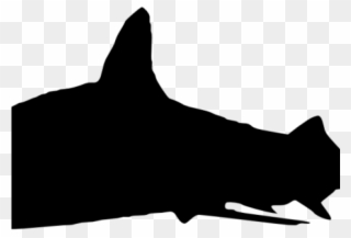 Shark Clipart Transparent Background - Shark - Png Download