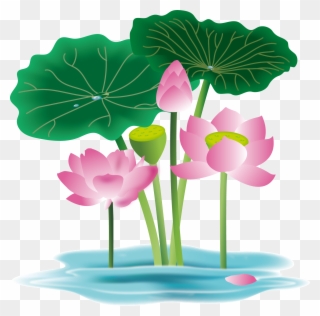 Hand Painted Flower Plant Water Lily Png And Vector - Anthurium Clipart