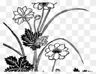 Drawn Floral Vector Png Vintage - نباتات رسم Clipart