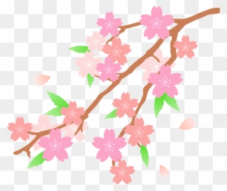 Medium Image - Sakura Tree Clip Art - Png Download