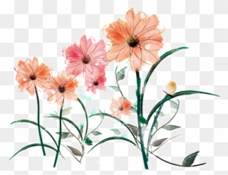 Fresh Water Pink Hand Painted Chrysanthemum Decorative - Chrysanthemum Clipart