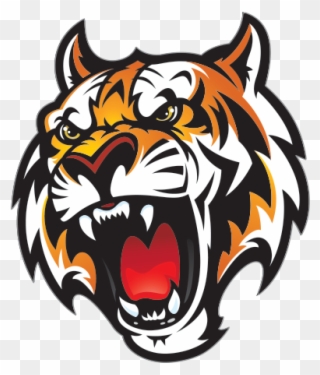 Tiger Head Png - Fleetwood High School Mascot Clipart