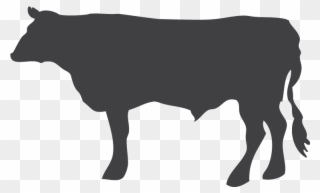 Hästkött Fint Professional Secrets Png Fence Png Transparent - Dairy Cow Clipart