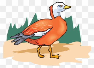 Tree Orange Bird Wings Standing Png Image - Clip Art Transparent Png