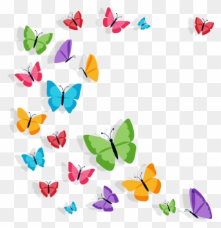 Usta Kelebek Dermiş Her Şey Bizim Tekamül Sürecimiz Clipart