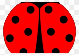Ladybug Lady Bug Clip Art Google Search Lady Bugs - Png Download