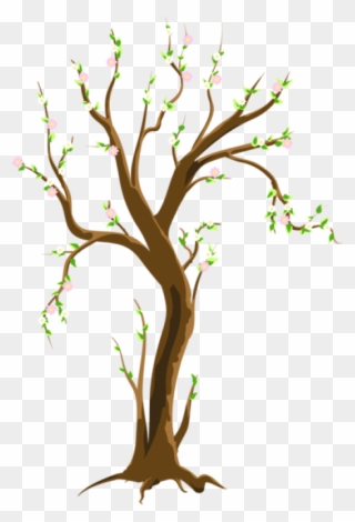 Free Png Download Spring Treepicture Png Images Background - Tree In Spring Clipart Transparent Png