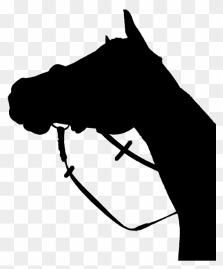 Horse Silhouette Black - Horse Head Low Angle Clipart