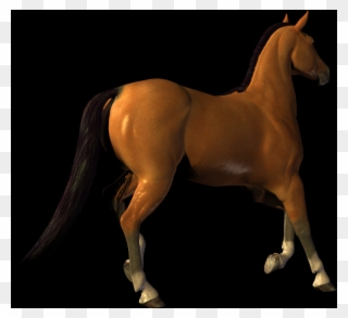 Free Horse Png Images - Stallion Clipart