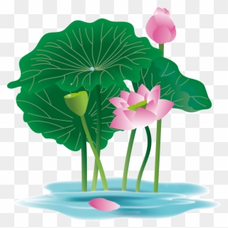 Hand Painted Plant Flower Water Lily Png And Vector - Anthurium Clipart