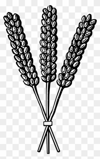 Details, Png - Heraldry Wheat Clipart