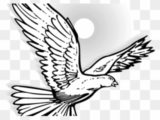 Mourning Dove Clipart White Winged - Flying Dove - Png Download