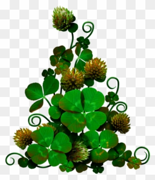 Stonecrop Family Clipart