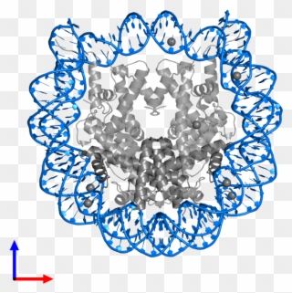 <div Class='caption-body'>pdb Entry 5b2j Contains 2 - Illustration Clipart