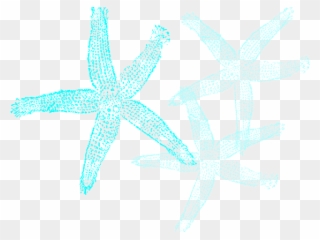 Starfish Clipart Aqua - Fish Clip Art - Png Download