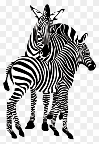 Zebre - Zebra Gif Transparent Background Clipart