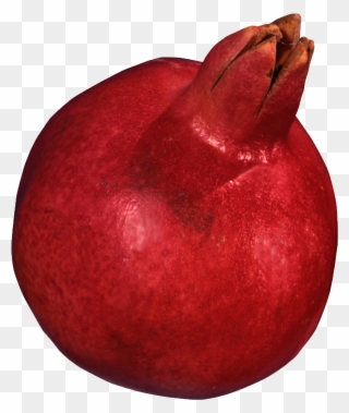 Granatapfel3 - Pomegranate Clipart