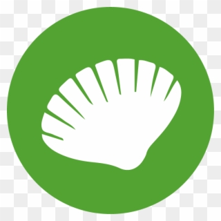 Muscheln - Green Email Logo Png Clipart
