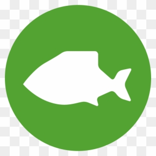 Muscheln - Fische - Profile Game Clipart
