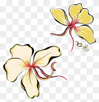 Flower Decorative Pattern - 精美 壁纸 Clipart