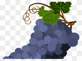 Grapes Clipart Transparent Background - Cacho De Uvas Vetor - Png Download
